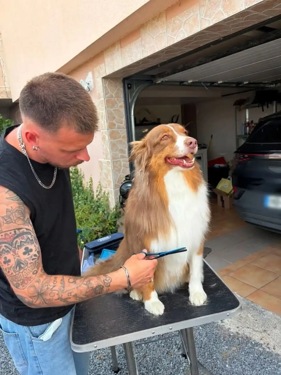 Toiletteur canin à domicile à Nancy nettoyant un chien